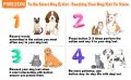 Бутони за дресиране обучение на куче 6 бр. записваеми кучешки бутони за комуникация говор на кучета , снимка 6
