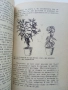 Нашите кръжоци по Агробиология - Кирил Ризов - 1971г., снимка 4