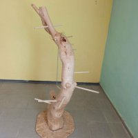Декоративно дърво за папагал , снимка 2 - Папагали - 32705520