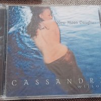 Cassandra Wilson - сет първи издания , снимка 6 - CD дискове - 34609397