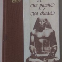 Папирусът не расте на скала, снимка 1 - Художествена литература - 28567749