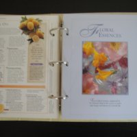 Книга/Класьор - The Complete Guide to Natural Healing, снимка 8 - Енциклопедии, справочници - 37516127