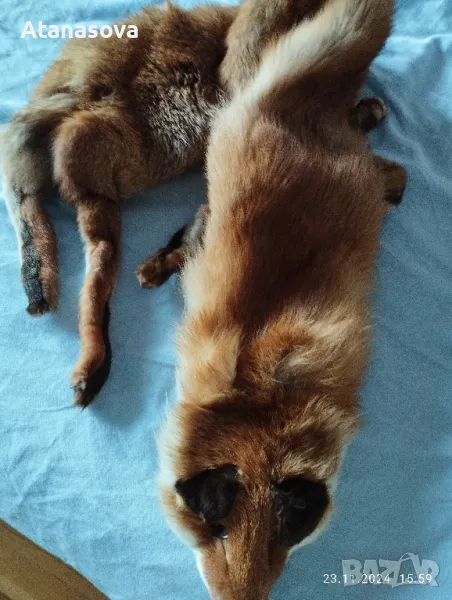 Продавам кожа лисица , снимка 1