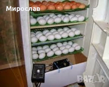 Ремонт на инкубатори, снимка 1