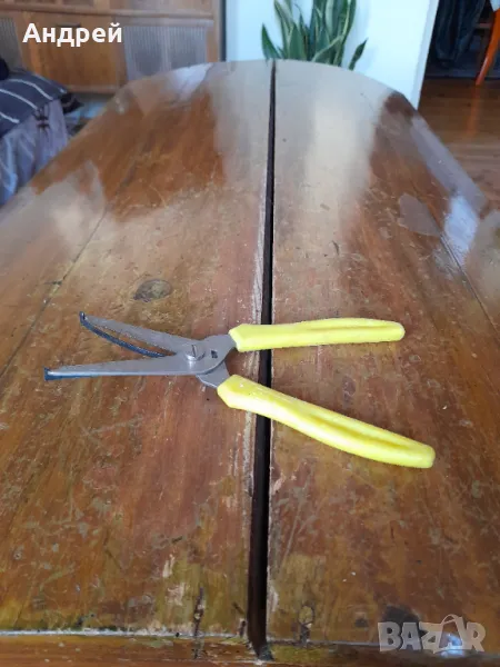 Стара Лозарска,овощарска Ножица,Ножици #9, снимка 1