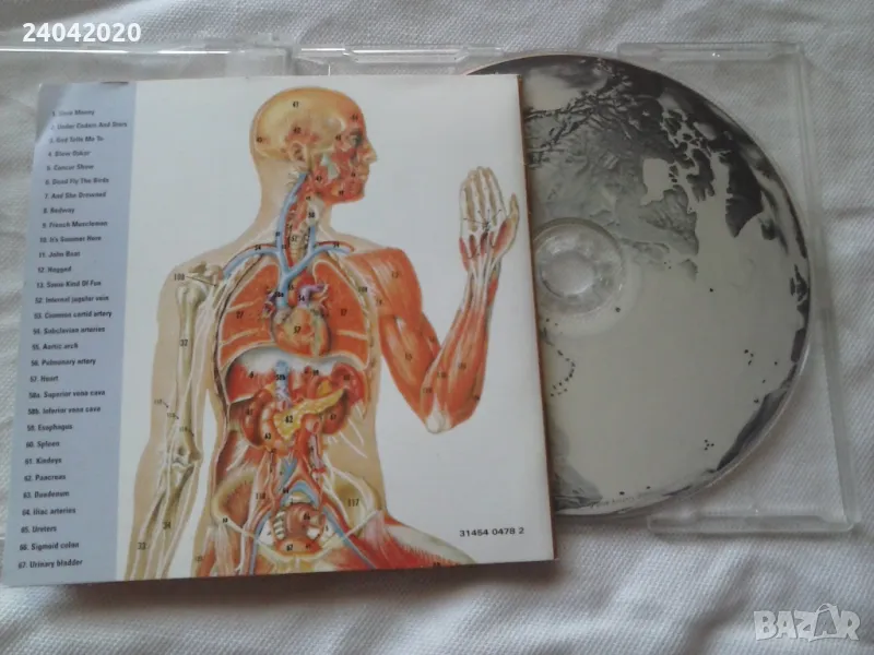 Ass Ponys ‎– The Known Universe оригинален US диск, снимка 1