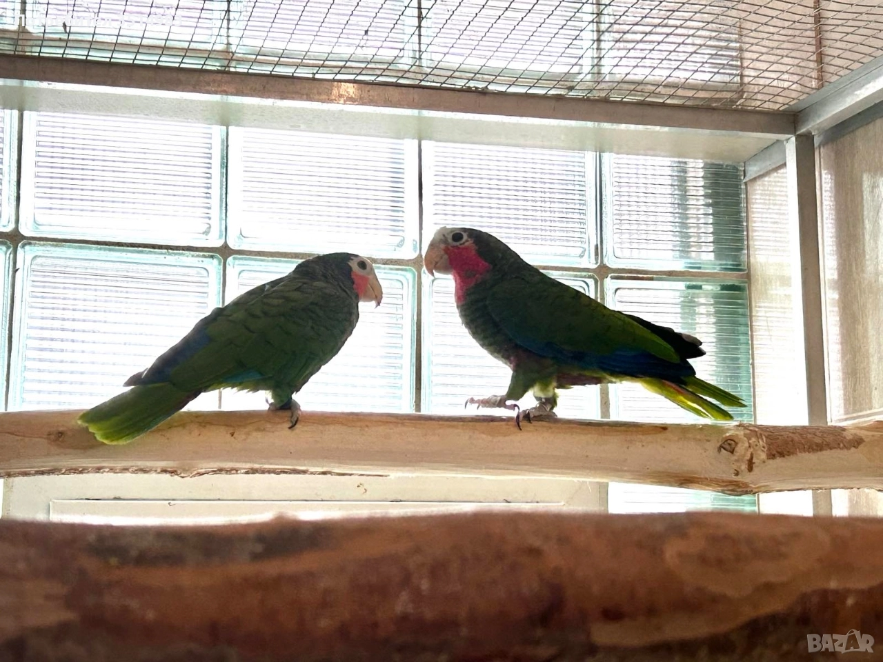 разпродажба, снимка 1