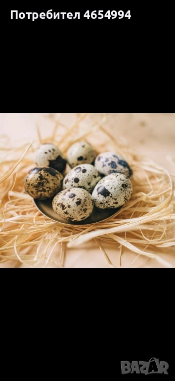 Пъдпъдъчи яйца , снимка 1