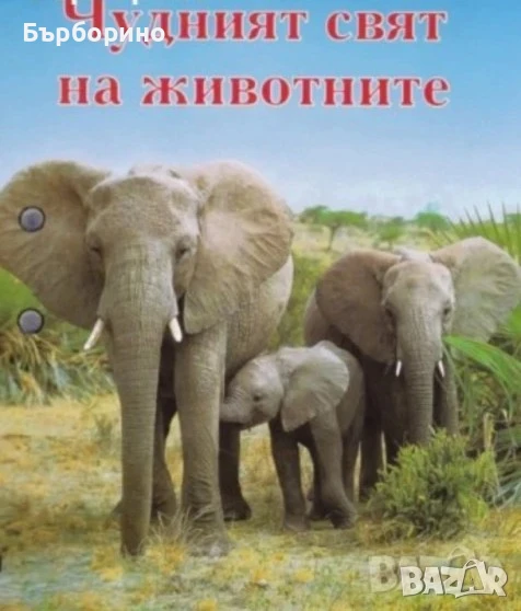 Чудният свят на животните-233 карти, снимка 1
