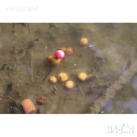 Тигров фъстък Топ Качество, снимка 4 - Стръв и захранки - 19971944