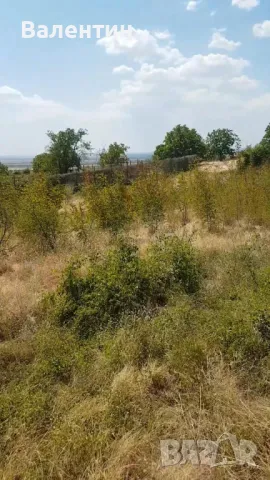 Продава се дворно място 1 800 дка в с. Оряховица, снимка 8 - Парцели - 46948340