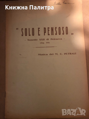 Solo e Pensoso sonetto XXII di Francesco Petrarca