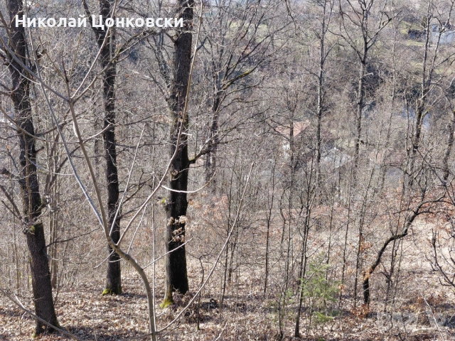 Продавам вилна сграда на груб строеж с дворно място, снимка 8 - Вили - 53587971