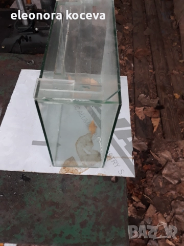 Продавам аквариум, снимка 5 - Аквариуми - 52574110