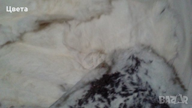 Заешки кожи, снимка 2 - Други - 25602708