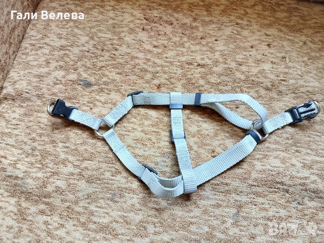 Нагръдник за куче, снимка 3 - За кучета - 50889689