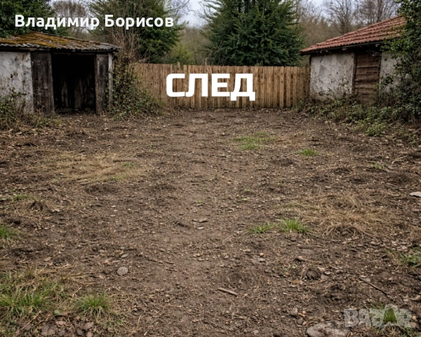 Почистване на обраснали дворове, снимка 2 - Други почистващи услуги - 53557497