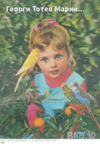 Комплект Стерео картички 1979 г. , снимка 5 - Колекции - 50784310