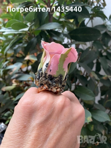 Пръстен от серията “Тайната градина” на дизайнерката Анелия Милчева, снимка 3 - Пръстени - 52222543