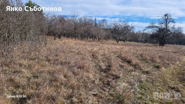 ПАРЦЕЛ В РЕГУЛАЦИЯ, снимка 3 - Парцели - 52906484