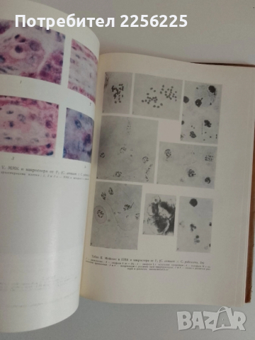 Генетични изследвания, снимка 3 - Специализирана литература - 51480753