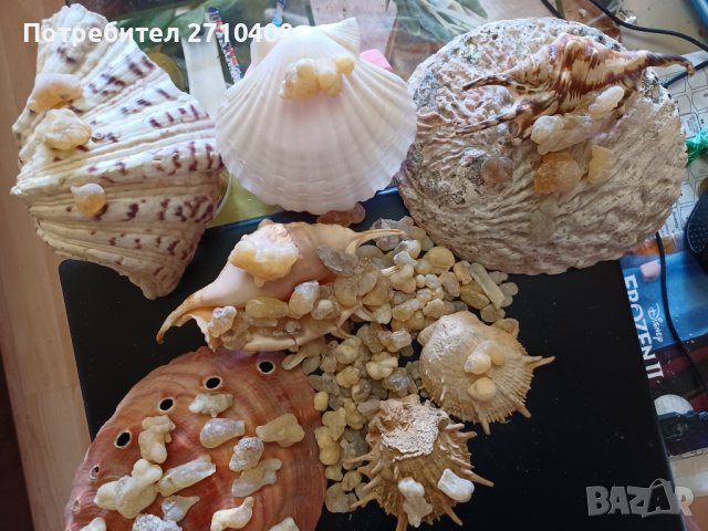 Тамян.Фаворитът.От Оман.Босвелия сакра.Арабски тамян Ходжари От Дофар, снимка 3 - Други - 37083493