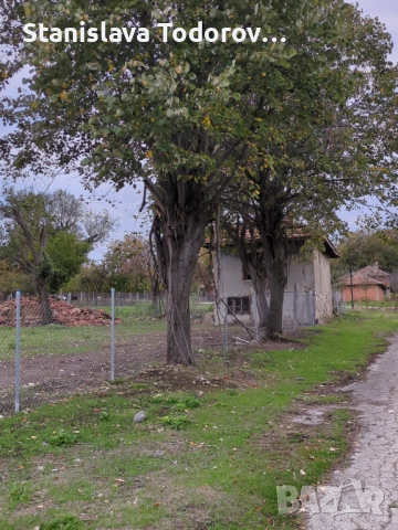 Имот с къща в с. Бързица, общ. Провадия, снимка 10 - Къщи - 52953368