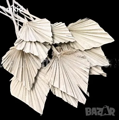 Златисти Бели Натурални Палмови листа ветрило Оригами Екзотични Тропически сухи цветя листо палмово, снимка 3 - Изкуствени цветя - 41519754
