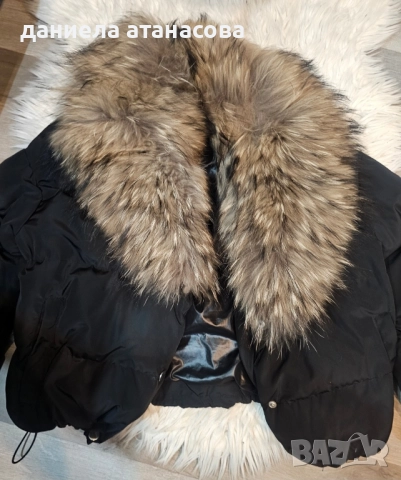 яке ест косъм лисица