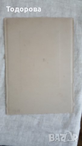Стара картонена кабинетна снимка, снимка 2 - Антикварни и старинни предмети - 28398839
