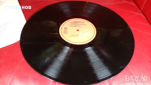 Двоен албум, грамофонни плочи на ROBERT WYATT „rock bottom”, Франция, снимка 12 - Грамофонни плочи - 50994809