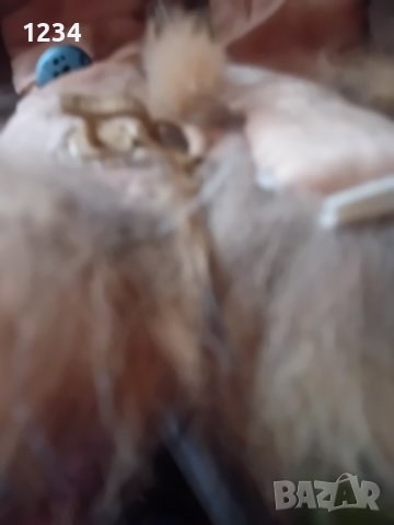 Голяма естествена яка от ракун , снимка 5 - Шалове - 43707408