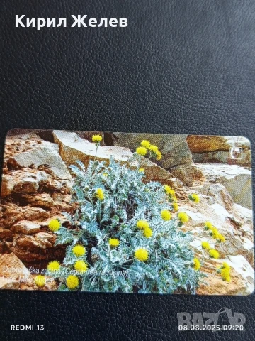 Фонокарта ХЪРВАТИЯ ФЛОРА много красива за КОЛЕКЦИЯ ДЕКОРАЦИЯ 50033, снимка 5 - Колекции - 51293798