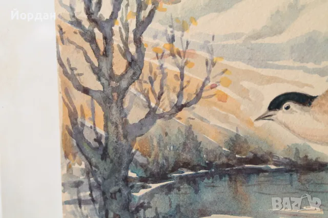 Акварел /автор-Никола Пилчев/ ''Старопланинска черешарка'', снимка 5 - Картини - 49131538