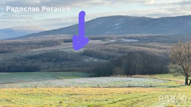 Собственик продава, 93 дка лозя 4-та кат. в община Царево, обл. Бургас, снимка 11 - Земеделска земя - 44105149