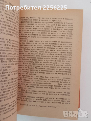 Бурята, снимка 5 - Художествена литература - 51575435