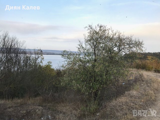Парцел 1300 кв.м. до варненското езеро, снимка 5 - Парцели - 43729202
