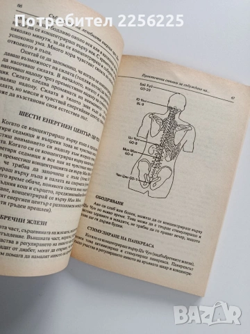 Събуждане на лечебната енергия чрез Дао, снимка 2 - Специализирана литература - 53269140