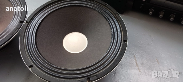 Говорители 12 инча , снимка 3 - Тонколони - 52035397