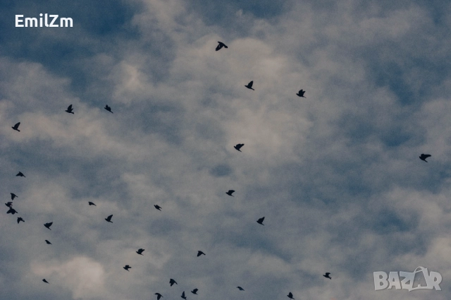 Panasonic Lumix GF3 Micro 4/3 mount, снимка 10 - Фотоапарати - 52840538