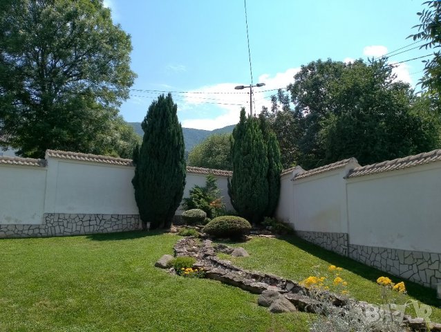 Поддръжка На Зелени Площи - *Топ Градинар*, снимка 4 - Други услуги - 39617797