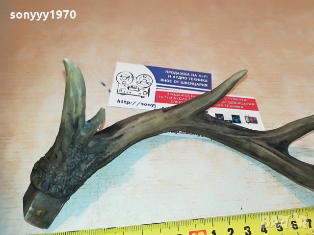 рога комплект 2бр 2005212045, снимка 13 - Антикварни и старинни предмети - 32947574