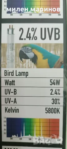 осветление за птици, снимка 4 - Папагали - 50217147