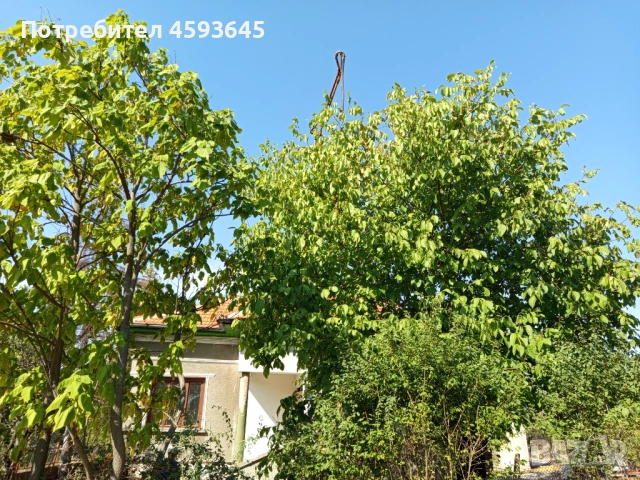 Къща село Градец , снимка 4 - Къщи - 51701128