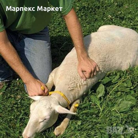 Скоби за обездвижване на овце и кози, снимка 3 - Овце - 43458936
