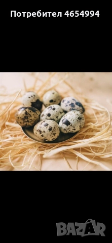 Пъдпъдъчи яйца 