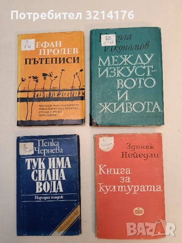 Между изкуството и живота - Никола Икономов