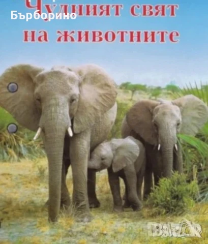 Чудният свят на животните-233 карти