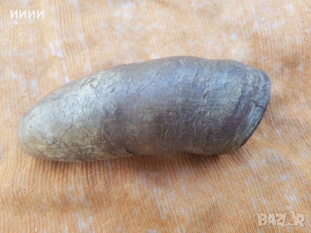 Рогова барутница с лъв , снимка 2 - Антикварни и старинни предмети - 53358209