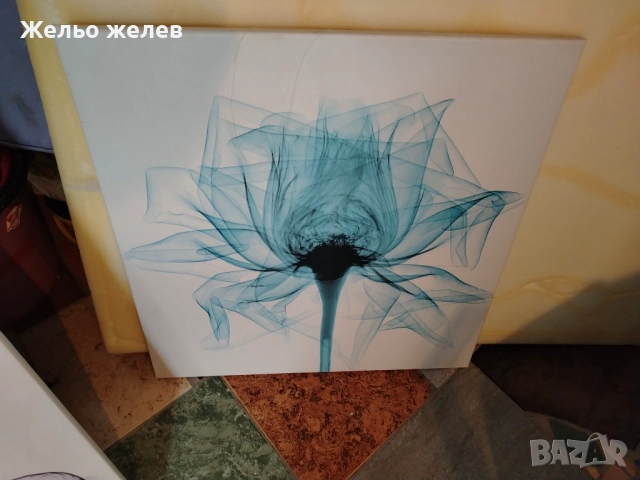 Картини 29лв 1бр., снимка 4 - Картини - 52565271